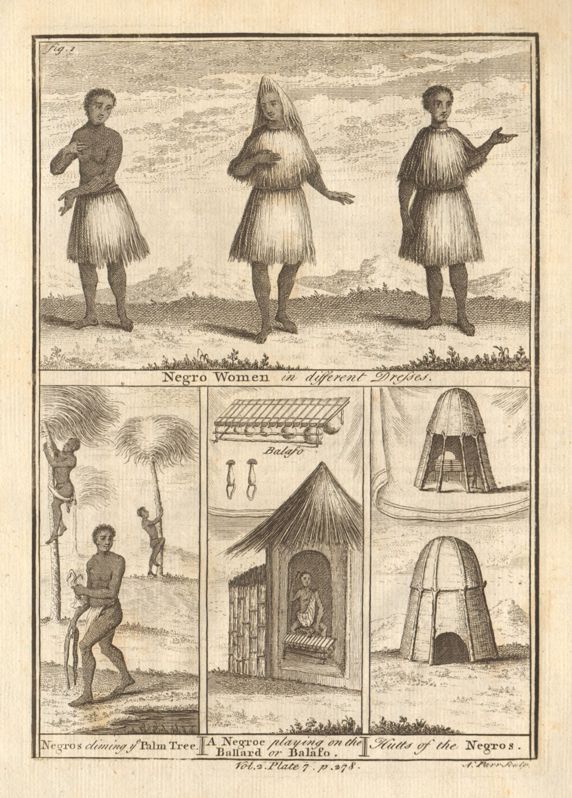 Climbing Palm-Tree. Griot playing Balafon (xylophone). Senegal 1745 old print